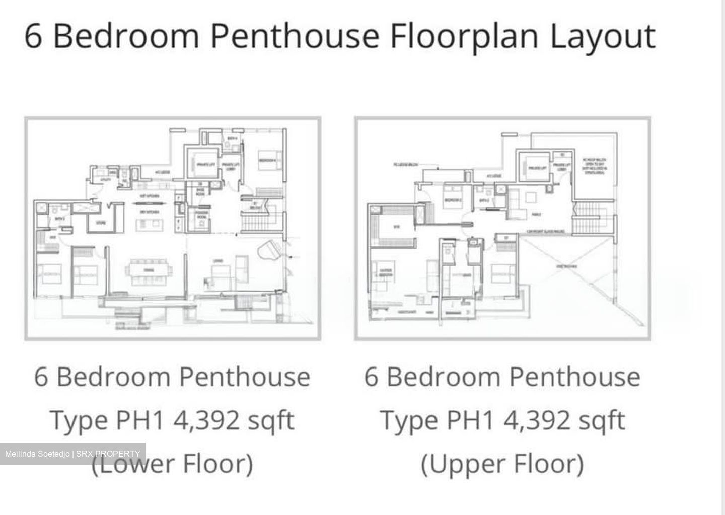 Amber Park (D15), Condominium #534688841